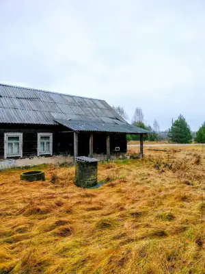 Дом в деревне Кривичи Ивьевского района